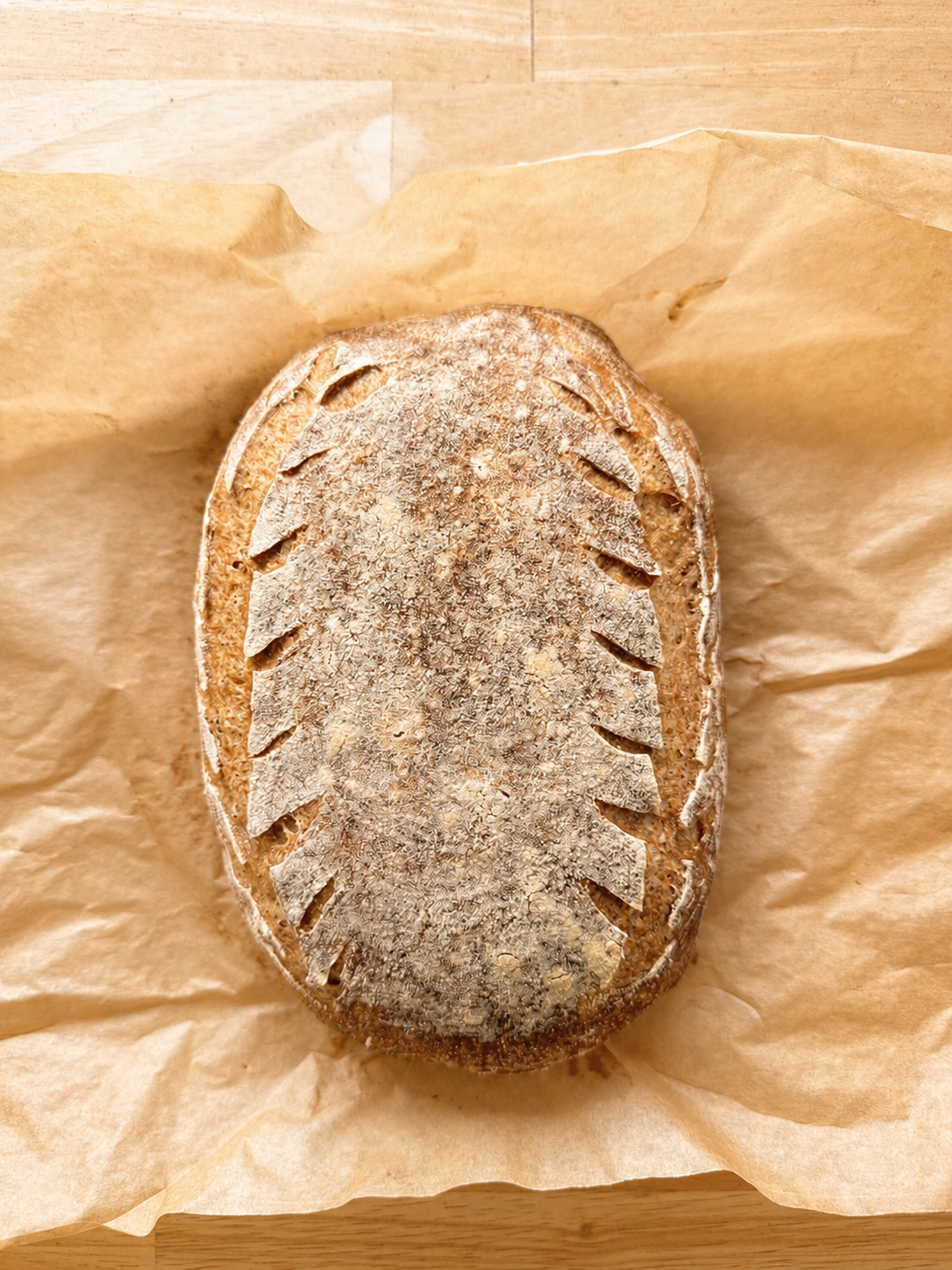 Gluten Free Sourdough