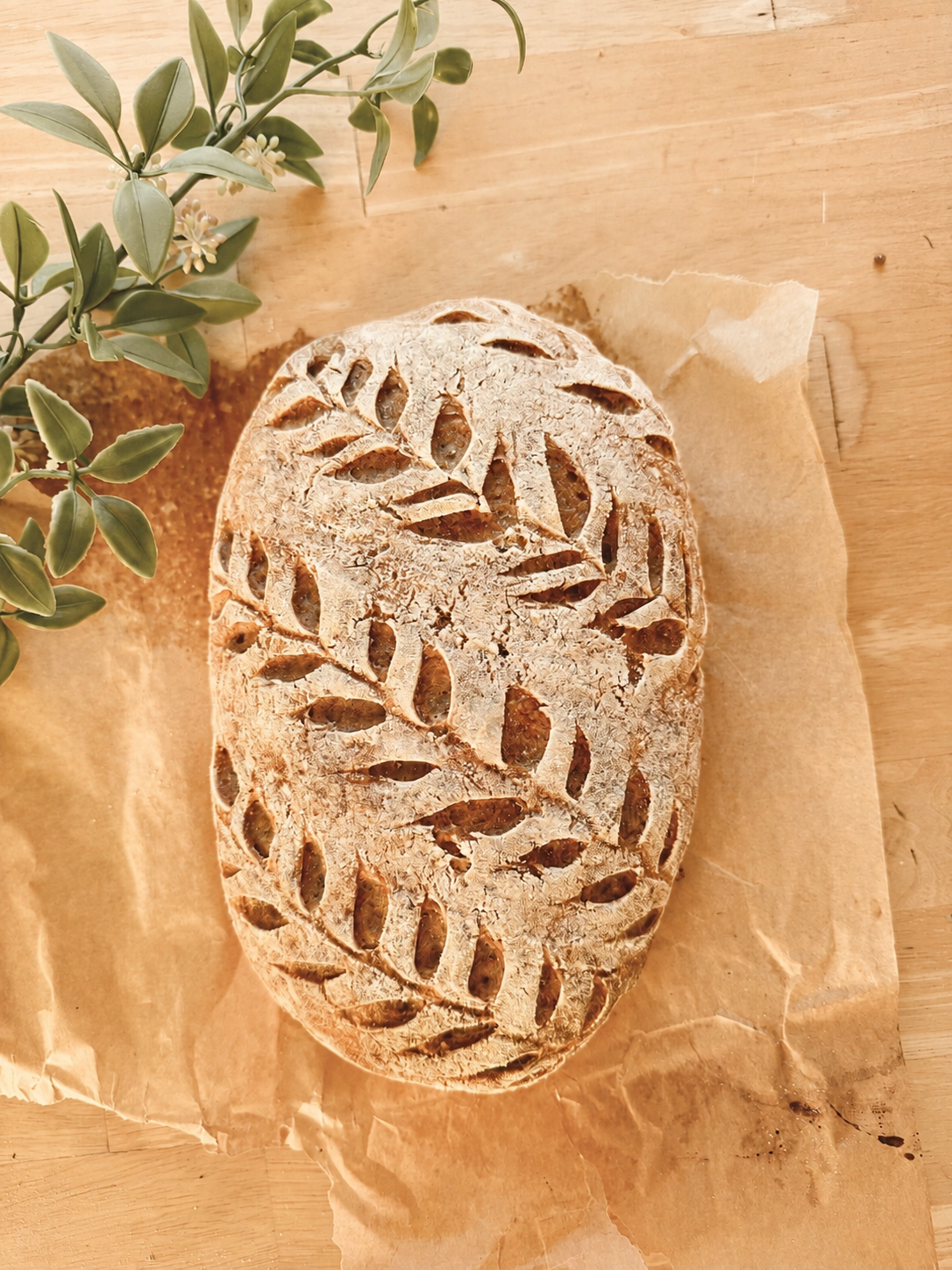 Gluten Free Sourdough