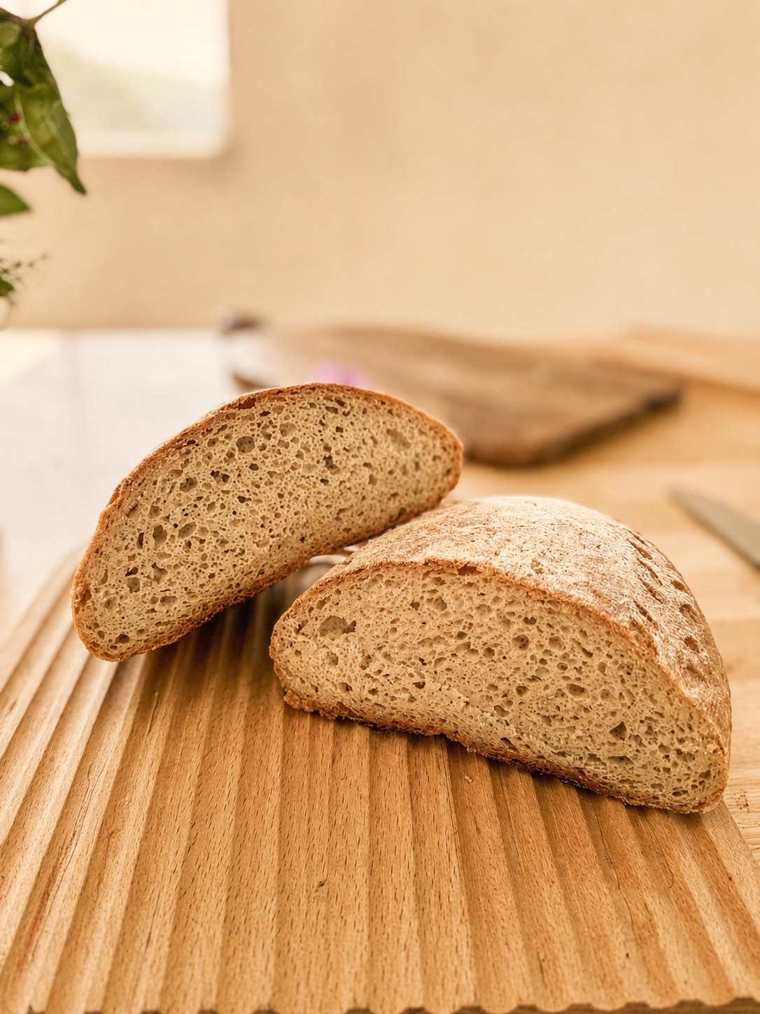 Gluten Free Sourdough