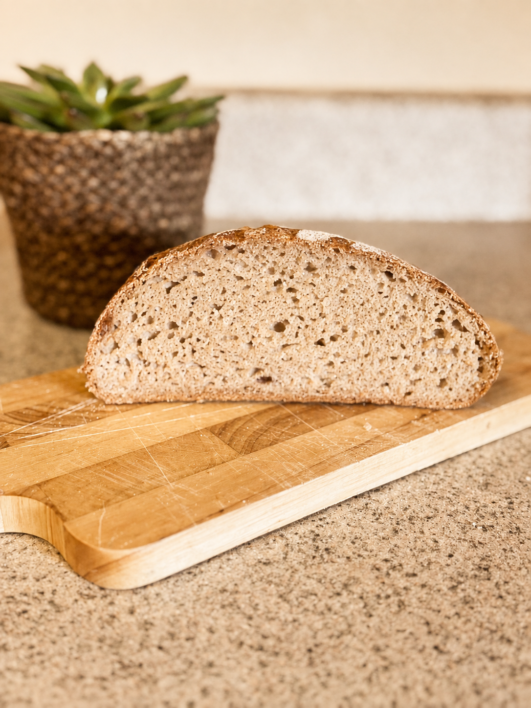 Gluten Free Sourdough